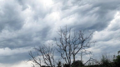 Photo of Météo Maroc: passages nuageux denses ce jeudi 3 mars