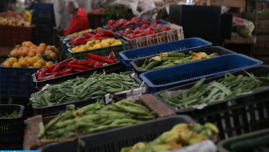 Photo of Ouezzane: approvisionnement abondant des marchés en denrées alimentaires