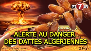 Photo of ALERTE AU DANGER DES DATTES ALGÉRIENNES !