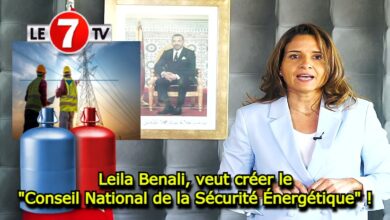 Photo of Leila Benali, veut créer le « Conseil National de la Sécurité Énergétique » !