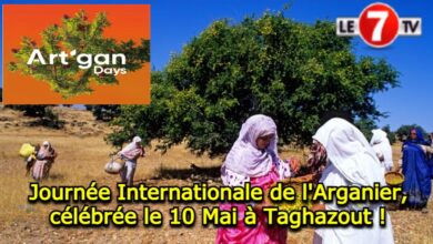 Photo of Journée Internationale de l’Arganier, célébrée le 10 Mai à Taghazout !