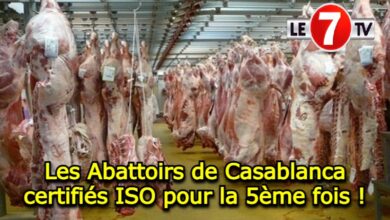 Photo of Qualité et Consommation : Les Abattoirs de Casablanca certifiés ISO pour la 5ème fois !