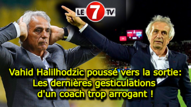 Photo of Vahid Halilhodzic poussé vers la sortie : Les dernières gesticulations d’un coach trop arrogant !