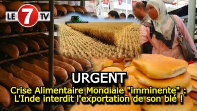 Photo of Crise Alimentaire Mondiale « imminente » : L’Inde interdit l’exportation de son blé !