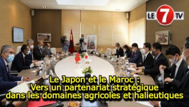 Photo of Le Japon et le Maroc : Vers un partenariat stratégique dans les domaines agricole et halieutique