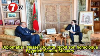 Photo of Diplomatie : Nasser Bourita reçoit son homologue Égyptien Sameh Shoukry