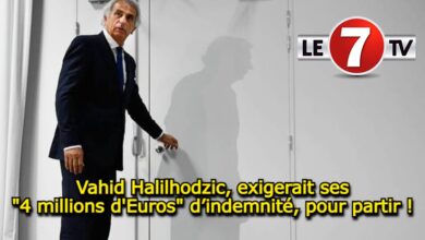 Photo of Vahid Halilhodzic, exigerait ses « 4 millions d’Euros » d’indemnité, pour partir !