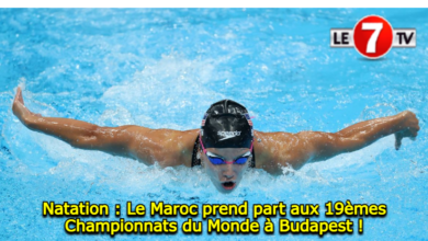 Photo of Natation : Le Maroc prend part aux 19èmes Championnats du Monde à Budapest