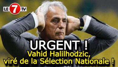 Photo of Urgent !…Vahid Halilhodzic, viré de la Sélection Nationale !