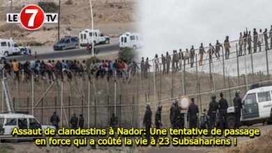 Photo of Assaut de clandestins à Nador: Une tentative de passage en force qui a coûté la vie à 23 Subsahariens