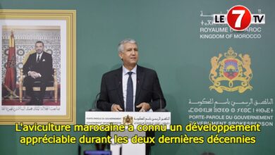 Photo of L’aviculture marocaine a connu un développement appréciable durant les deux dernières décennies