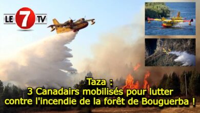 Photo of Taza : 3 Canadairs mobilisés pour lutter contre l’incendie de la forêt de Bouguerba !