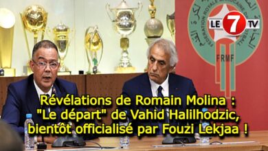 Photo of Révélations de Romain Molina : « Le départ » de Vahid Halilhodzic, bientôt officialisé par Fouzi Lekjaa !