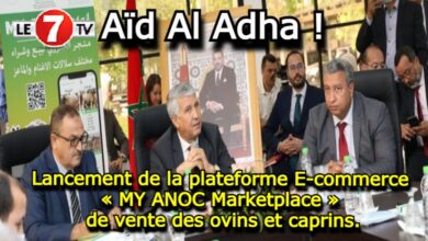 Photo of Aïd Al Adha : Lancement de la plateforme E-commerce « MY ANOC Marketplace » de vente des ovins et caprins.