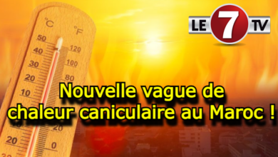 Photo of Alerte Canicule : Vague de chaleur (38 à 45°C) du mercredi au samedi dans plusieurs provinces du Royaume