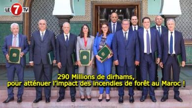 Photo of 290 Millions de dirhams, pour atténuer l’impact des incendies de forêt au Maroc !