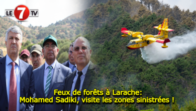 Photo of Feux de forêts à Larache: Mohamed Sadiki visite les zones sinistrées !