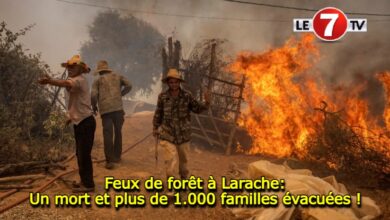 Photo of Feux de forêt à Larache: Un mort et plus de 1.000 familles évacuées !