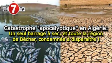 Photo of Catastrophe « apocalyptique » en Algérie: Un seul barrage à sec, et toute la région de Béchar, condamnée à disparaître !