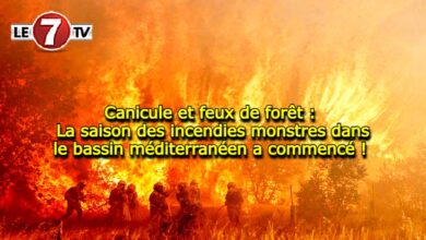 Photo of Canicule et feux de forêt : La saison des incendies monstres dans le bassin méditerranéen a commencé !