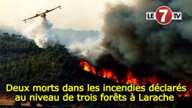 Photo of Deux morts dans les incendies déclarés au niveau de trois forêts à Larache 