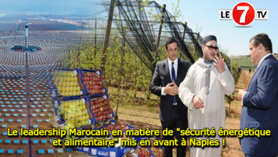 Photo of Le leadership Marocain en matière de « sécurité énergétique et alimentaire » mis en avant à Naples !