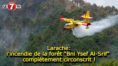 Photo of Larache: l’incendie de la forêt « Bni Ysef Al-Srif » complètement circonscrit !