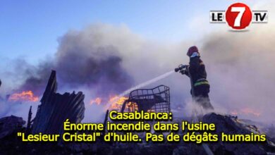 Photo of Casablanca: Énorme incendie dans l’usine « Lesieur Cristal » d’huile, pas de dégâts humains