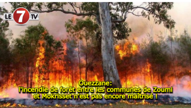 Photo of Ouezzane: l’incendie de forêt entre les communes de Zoumi et Mokrisset n’est pas encore maîtrisé !