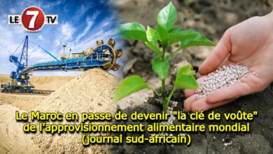 Photo of Le Maroc en passe de devenir la clé de voûte de l’approvisionnement alimentaire mondial (journal sud-africain)