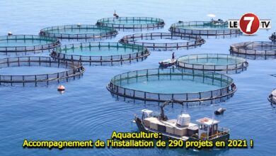 Photo of Aquaculture: Accompagnement de l’installation de 290 projets en 2021 !