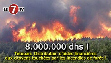 Photo of Tétouan: Distribution d’aides financières aux citoyens touchées par les incendies de forêt !