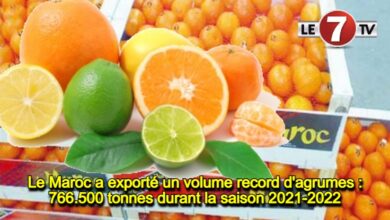 Photo of Le Maroc a exporté un volume record d’agrumes: 766.500 tonnes durant la saison 2021-2022 !