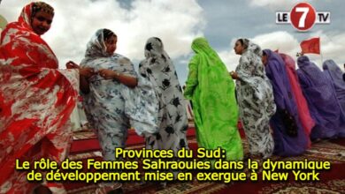 Photo of Provinces du Sud: Le rôle des Sahraouies dans la dynamique de développement mise en exergue à New York