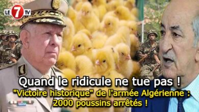 Photo of « Victoire historique » de l’armée algérienne : 2000 poussins arrêtés ! (vidéo)