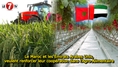 Photo of Le Maroc et les Émirats Arabes Unis, veulent renforcer leur coopération dans l’Agro-Alimentaire