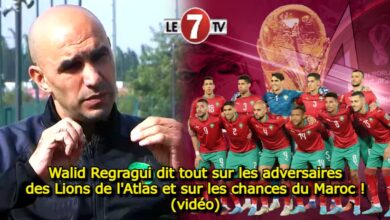 Photo of Walid Regragui dit tout sur les adversaires des Lions de l’Atlas et sur les chances du Maroc ! (vidéo)