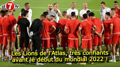 Photo of Les Lions de l’Atlas, très confiants avant le début du mondial 2022 !