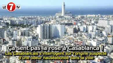 Photo of Les Casablancais s’interrogent sur l’origine suspecte d’une odeur nauséabonde dans la ville