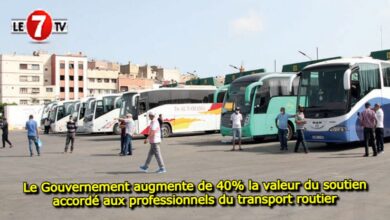 Photo of Le Gouvernement augmente de 40% la valeur du soutien accordé aux professionnels du transport routier