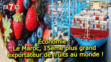 Photo of Économie : Le Maroc, 15ème plus grand exportateur de fruits au monde !