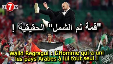 Photo of Walid Regragui : L’Homme qui a uni les pays Arabes à lui tout seul !