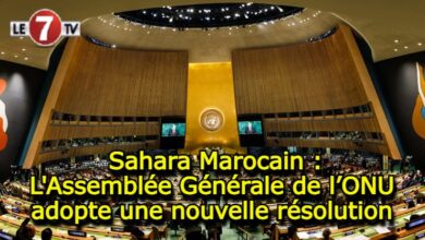 Photo of Sahara Marocain : L’Assemblée Générale de l’ONU adopte une nouvelle résolution 