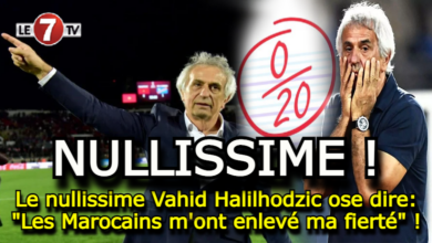 Photo of Le nullissime Vahid Halilhodzic ose dire: « Les Marocains m’ont enlevé ma fierté » !