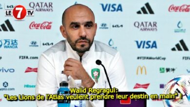 Photo of Walid Regragui: « Les Lions de l’Atlas veulent prendre leur destin en main » ! 