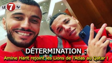 Photo of Détermination : Amine Harit rejoint les Lions de l’Atlas au Qatar !