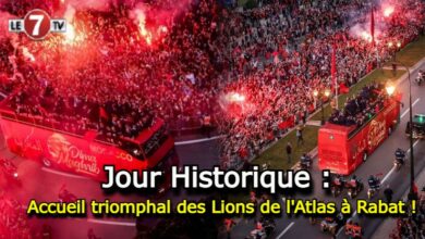 Photo of Jour Historique : Accueil triomphal des Lions de l’Atlas à Rabat !