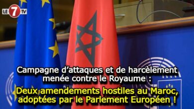 Photo of Deux amendements, hostiles contre le Maroc, adoptées par le Parlement Européen !