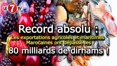 Photo of Record absolu : Les exportations agricoles et maritimes Marocaines ont dépassé les 80 milliards de dirhams !