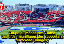 Photo of Coupe du Monde des Clubs: Les tifos magnifiques des supporters du Wydad (images)